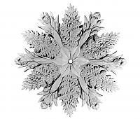 Ceiling Rose